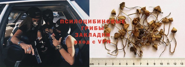 spice Алексеевка