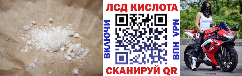 LSD-25 экстази кислота  блэк спрут онион  Грайворон 