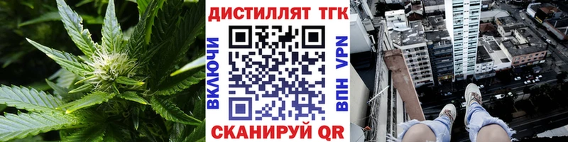 где найти   Грайворон  МЕГА ССЫЛКА  ТГК THC oil 