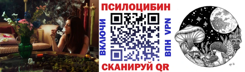 KRAKEN как зайти  даркнет сайт  Грайворон  Галлюциногенные грибы MAGIC MUSHROOMS 